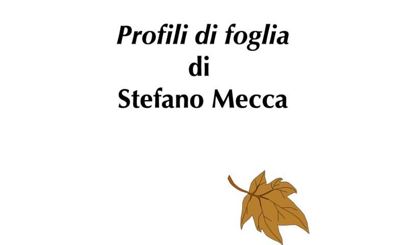 (RACCONTA UNA STORIA) - &quot;PROFILI DI FOGLIA&quot; di Stefano Mecca