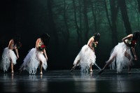 Ballet David Campos "Giselle"