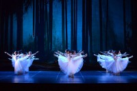 Balletto di Maribor in "Giselle", coreografia Rafael Avnikjan da Jean Coralli, Jules Perrot e Marius Petipa