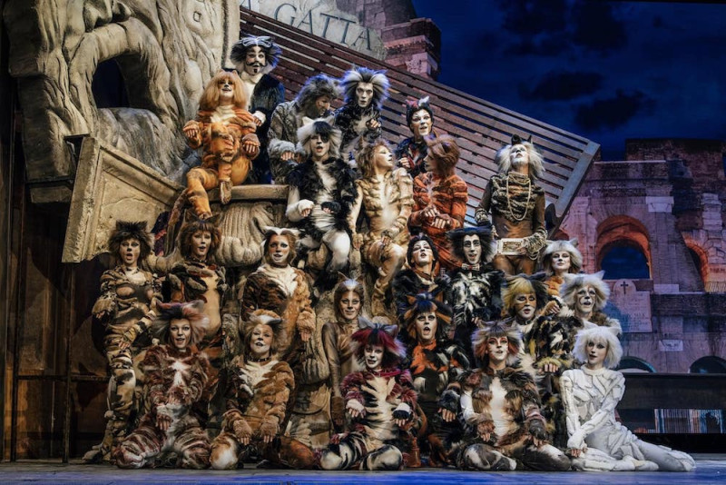 &quot;Cats&quot;, regia Massimo Romeo Piparo, coreografia Billy Mitchell